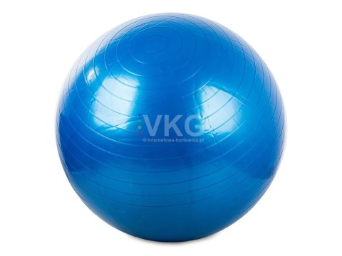 Piłka gimnastyczna + pompka 65cm rehabilitacyjna Piłka gimnastyczna + pompka 65cm rehabilitacyjna