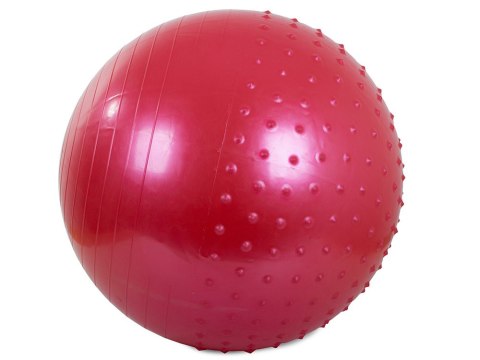 Piłka gimnastyczna fitness 65cm pompka do ćwiczeń Piłka gimnastyczna fitness 65cm pompka do ćwiczeń