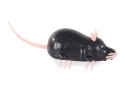 Mysz elektryczna wibrująca zabawka dla kota gryzak