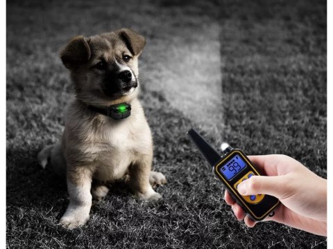 Elektryczna obroża dla psa treningowa 800m pilot Elektryczna obroża dla psa treningowa 800m pilot