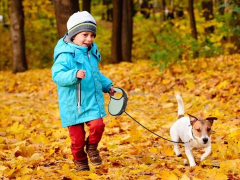 Smycz automatyczna dla psa taśma z blokadą 5m 15kg Smycz automatyczna dla psa taśma z blokadą 5m 15kg