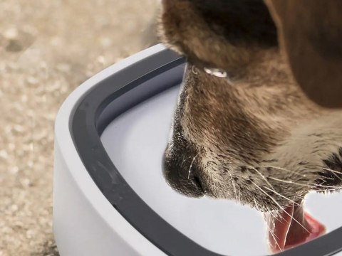 Miska na wodę pływająca dla psa i kota niechlapiąca 1l spowolniająca poidło Miska na wodę pływająca dla psa i kota niechlapiąca 1l spowolniająca poidło