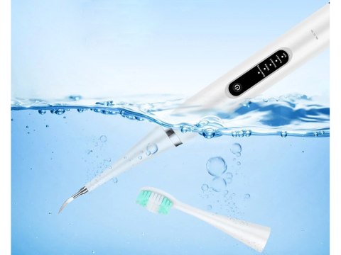 Skaler ultrwadźwiękowy dentystyczny do zębów usuwania kamienia szczoteczka Skaler ultrwadźwiękowy dentystyczny do zębów usuwania kamienia szczoteczka