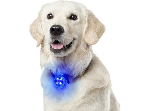 Świecąca lampka led na obrożę szelki dla psa kota zawieszka do obroży usb Świecąca lampka led na obrożę szelki dla psa kota zawieszka do obroży usb