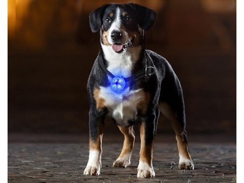 Świecąca lampka led na obrożę szelki dla psa kota zawieszka do obroży usb Świecąca lampka led na obrożę szelki dla psa kota zawieszka do obroży usb