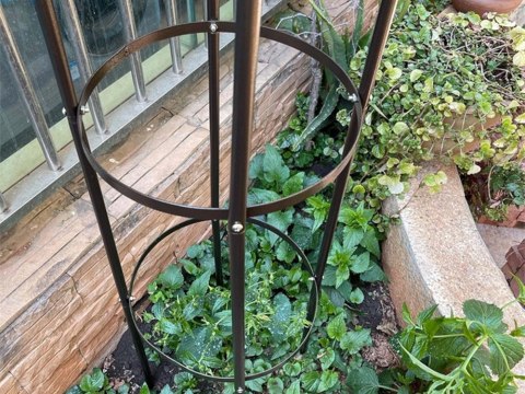 Pergola ogrodowa podpora do kwiatów kolumna do pnączy łuk dzwon na róże 190 Pergola ogrodowa podpora do kwiatów kolumna do pnączy łuk dzwon na róże 190