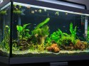 Grzałka do akwarium 50w regulacja temperatury termostat wydajna 50l grzanie