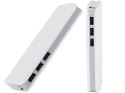 POWER BANK 10000MAH 3USB (100)