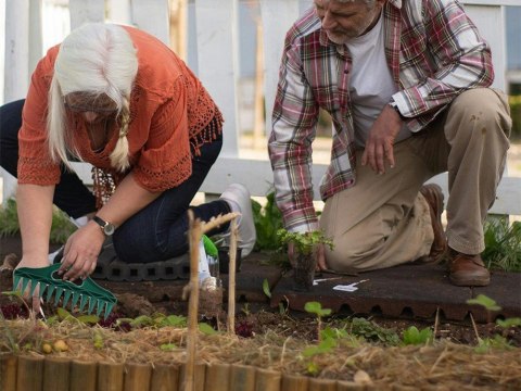 Ręczna sadzarka na 12 otworów dziurkacz siewnik ogrodowy do sadzenia roślin Ręczna sadzarka na 12 otworów dziurkacz siewnik ogrodowy do sadzenia roślin