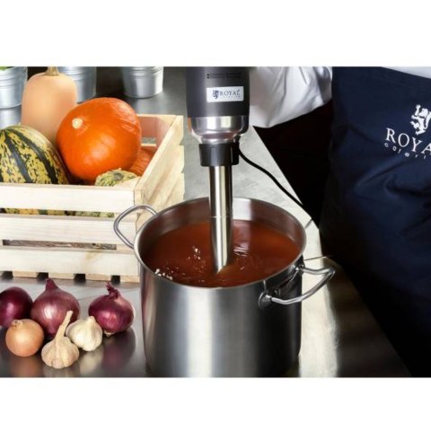 MOCNY MIKSER BLENDER ROBOT RĘCZNY DŁ. RAMIENIA 300MM 500W 230V ROYAL CATERING MOCNY MIKSER BLENDER ROBOT RĘCZNY DŁ. RAMIENIA 300MM 500W 230V ROYAL CATERING
