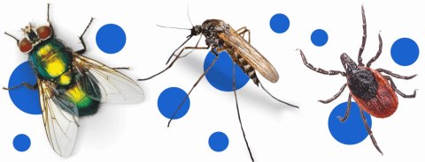 BROS - spray na komary i kleszcze 50% DEET 90ml - 1 szt. BROS - spray na komary i kleszcze 50% DEET 90ml - 1 szt.