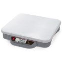 Waga platformowa magazynowa przenośna OHAUS COURIER 1000 LCD 32x28cm 75Kg / 50g