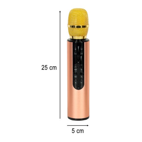 Mikrofon bezprzewodowy karaoke dla dzieci głośnik Bluetooth 2000mAh karta SD USB wysoka jakość złoty