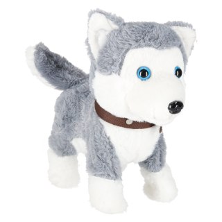 Piesek interaktywny na smyczy szczeka chodzi rusza ogonem Husky