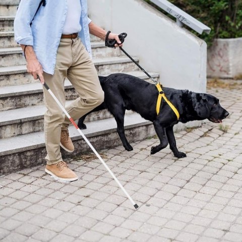 Kije trekkingowe składane 2 sztuki aluminiowe z pokrowcem 38 cm