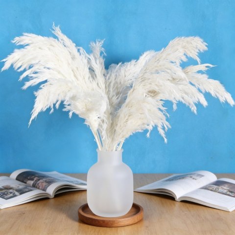 Dekoracja z traw pampasowych beżowych, 20 sztuk, 43 cm